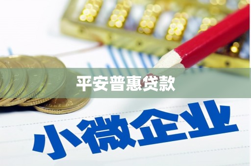 瑞金平安普惠贷款