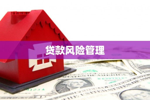 瑞金贷款风险管理