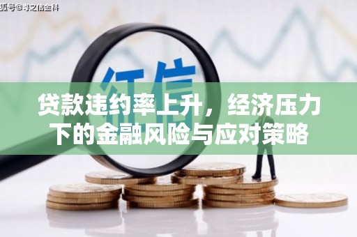 瑞金贷款违约率上升，经济压力下的金融风险与应对策略