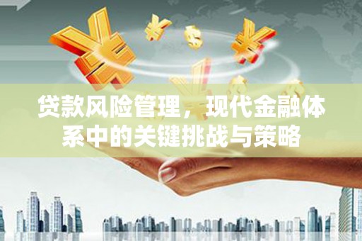 瑞金贷款风险管理，现代金融体系中的关键挑战与策略