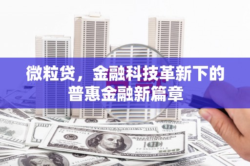 瑞金微粒贷，金融科技革新下的普惠金融新篇章