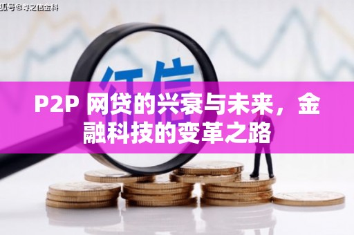 瑞金P2P 网贷的兴衰与未来，金融科技的变革之路