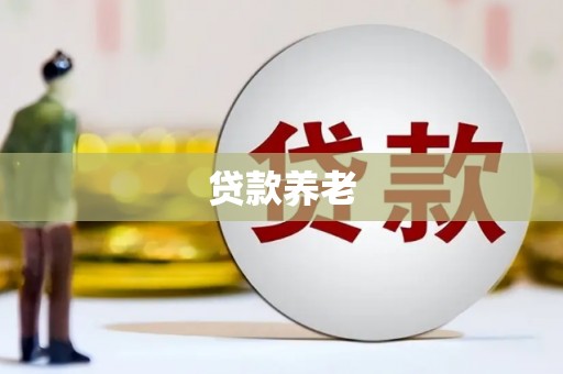 瑞金贷款养老