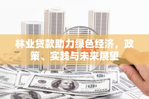 瑞金林业贷款助力绿色经济，政策、实践与未来展望