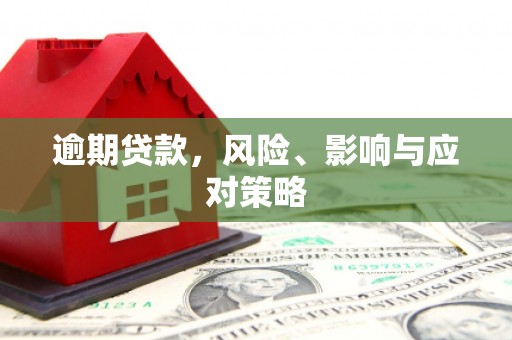 瑞金逾期贷款，风险、影响与应对策略