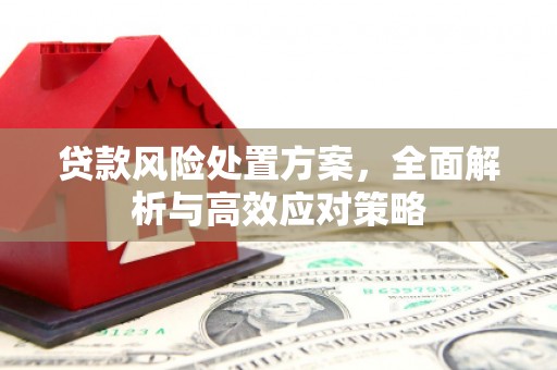 瑞金贷款风险处置方案，全面解析与高效应对策略