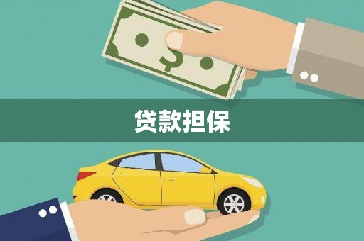 瑞金贷款担保