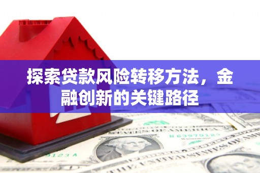 瑞金探索贷款风险转移方法，金融创新的关键路径