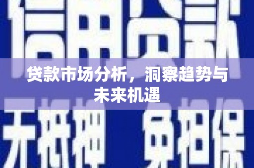 瑞金贷款市场分析，洞察趋势与未来机遇