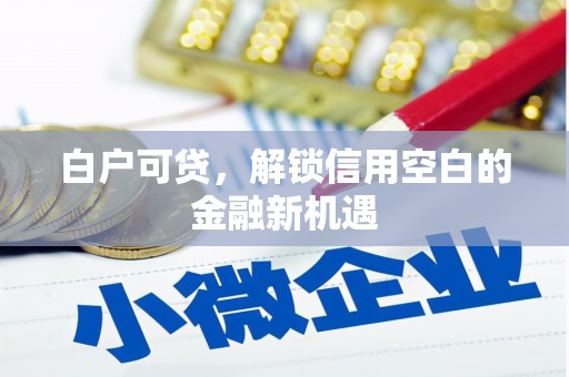 瑞金白户可贷，解锁信用空白的金融新机遇