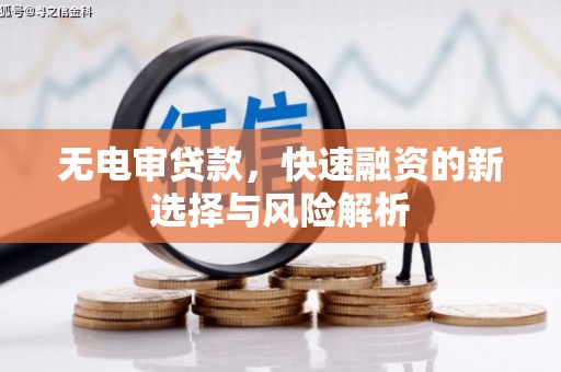 瑞金无电审贷款，快速融资的新选择与风险解析