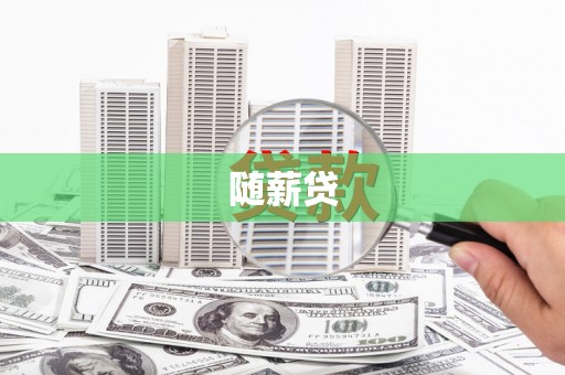 瑞金随薪贷
