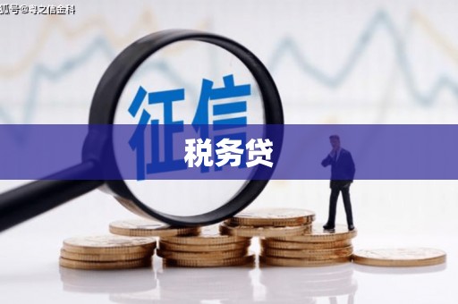 瑞金税务贷