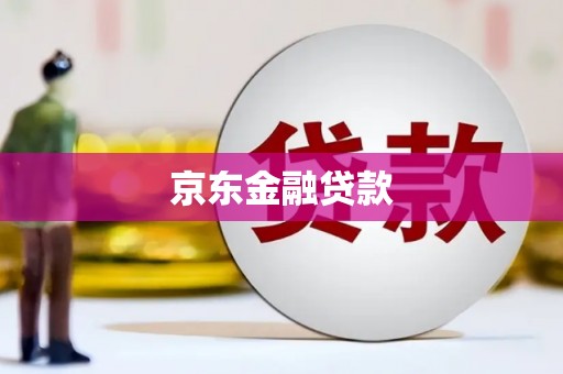 瑞金京东金融贷款