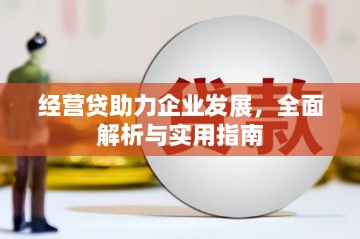 瑞金经营贷助力企业发展，全面解析与实用指南