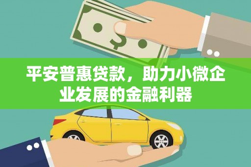 瑞金平安普惠贷款，助力小微企业发展的金融利器
