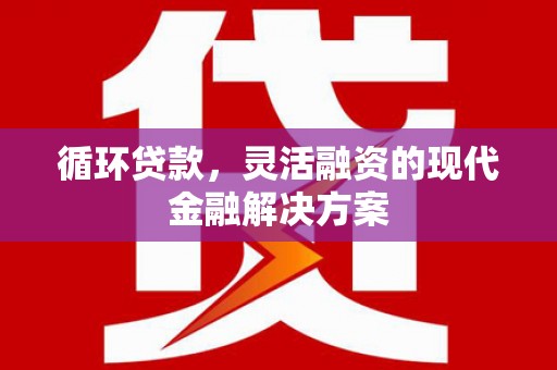 瑞金循环贷款，灵活融资的现代金融解决方案