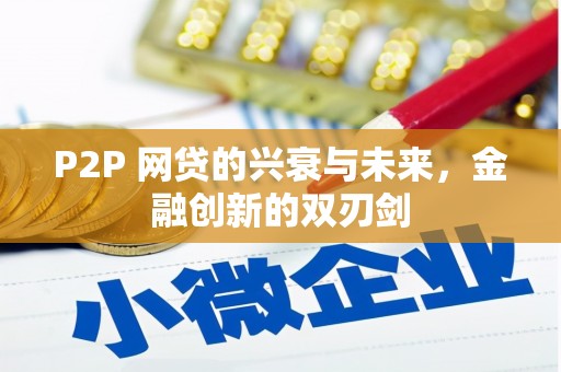 瑞金P2P 网贷的兴衰与未来，金融创新的双刃剑