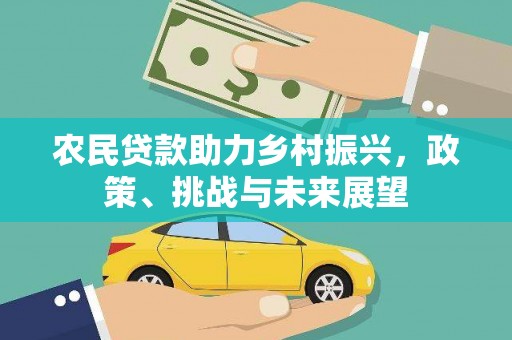 瑞金农民贷款助力乡村振兴，政策、挑战与未来展望