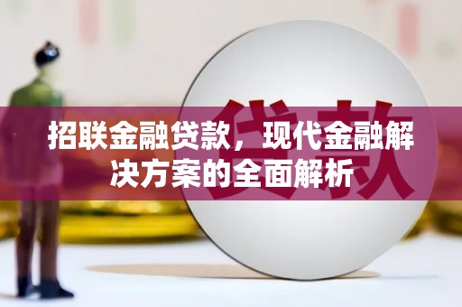 瑞金招联金融贷款，现代金融解决方案的全面解析