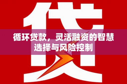 瑞金循环贷款，灵活融资的智慧选择与风险控制