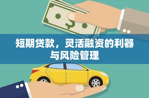 瑞金短期贷款，灵活融资的利器与风险管理
