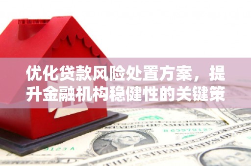 瑞金优化贷款风险处置方案，提升金融机构稳健性的关键策略
