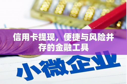 瑞金信用卡提现，便捷与风险并存的金融工具