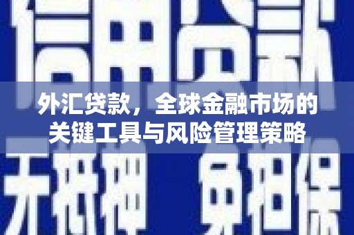 瑞金外汇贷款，全球金融市场的关键工具与风险管理策略