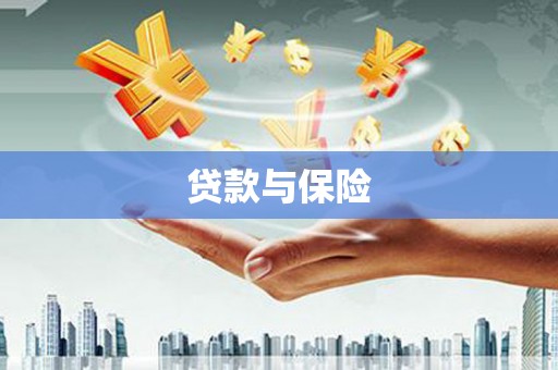 瑞金贷款与保险