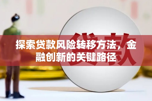 瑞金探索贷款风险转移方法，金融创新的关键路径