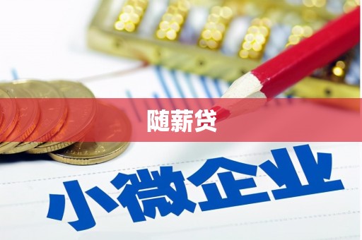瑞金随薪贷