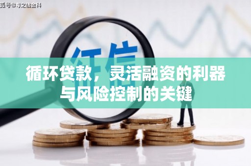 瑞金循环贷款，灵活融资的利器与风险控制的关键