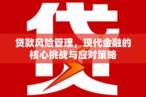 瑞金贷款风险管理，现代金融的核心挑战与应对策略