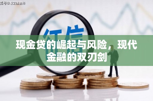 瑞金现金贷的崛起与风险，现代金融的双刃剑