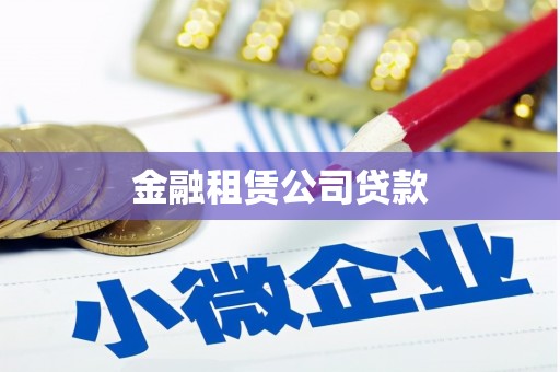 瑞金金融租赁公司贷款