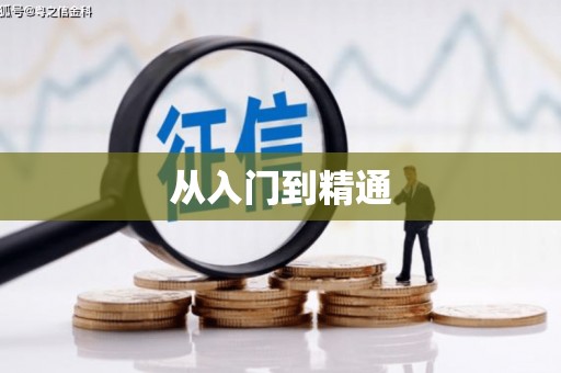 瑞金从入门到精通