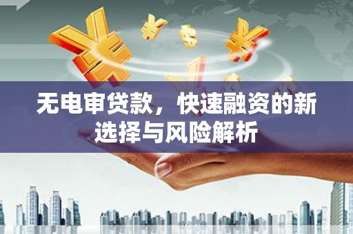 瑞金无电审贷款，快速融资的新选择与风险解析