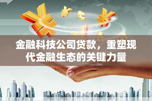 瑞金金融科技公司贷款，重塑现代金融生态的关键力量