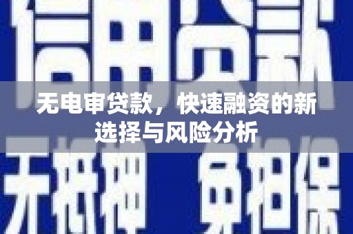 瑞金无电审贷款，快速融资的新选择与风险分析