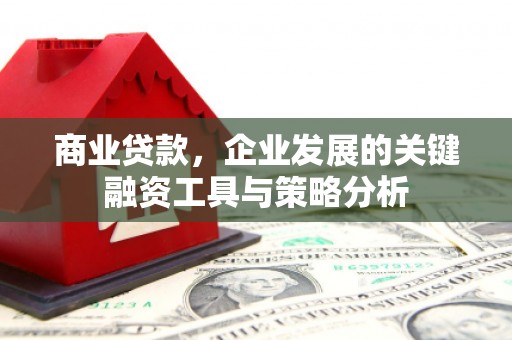 瑞金商业贷款，企业发展的关键融资工具与策略分析