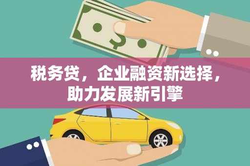 瑞金税务贷，企业融资新选择，助力发展新引擎
