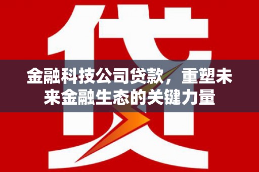 瑞金金融科技公司贷款，重塑未来金融生态的关键力量