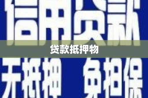 瑞金贷款抵押物
