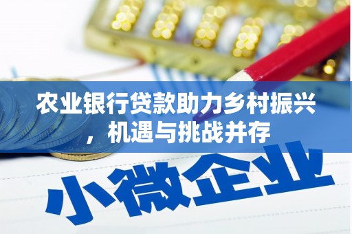 瑞金农业银行贷款助力乡村振兴，机遇与挑战并存