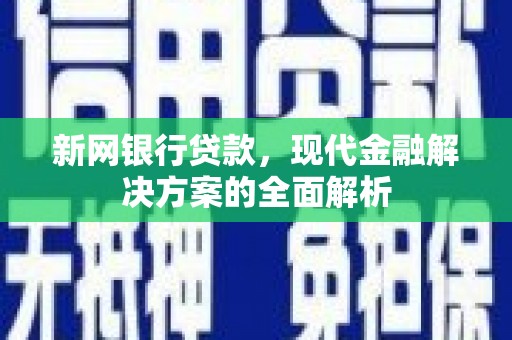 瑞金新网银行贷款，现代金融解决方案的全面解析