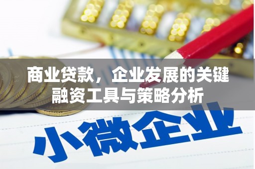瑞金商业贷款，企业发展的关键融资工具与策略分析