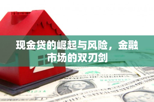 瑞金现金贷的崛起与风险，金融市场的双刃剑