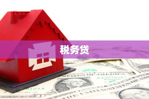 瑞金税务贷
