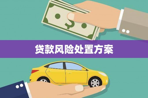 瑞金贷款风险处置方案